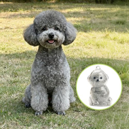 ELANE Dog Hair Keepsake，2 Pack Pet Hair Memorial Keepsake Pet Hair Keychain Keepsake (Clear Bichon) - color: Clear Bichon