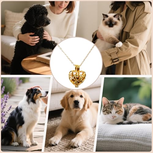 Paw Print Heart Pet Ashes Memorial Necklace with Mini Inner Box-B-Gold ﻿ | Pet Cremation Jewelry for Ashes, Cremation Urn Jewelry to Hold Dog & Cat Ashes Pendant with Box Filling Tools - color: B-Gold