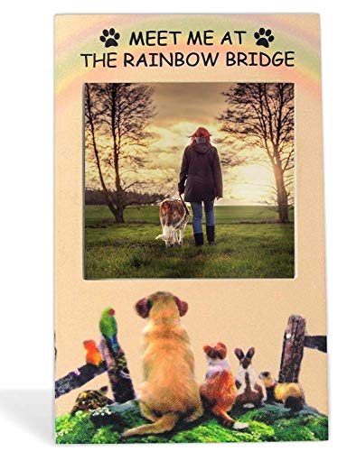BANBERRY DESIGNS Rainbow Bridge Pet Memorial Photo Frame - Pet Remembrance Picture Frame - Loss of a Dog or a Cat