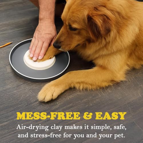SD Toyz Pet Paw Print Ornament Kit, Dog & Cat Keepsake Picture Frame, Clay Mold Pawprint, Pet Lover Gift