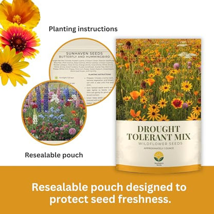 Drought Tolerant Wildflower Mix, 1 oz, 20,000+ Seeds | Extra Large Resealable Packet, Non-GMO Flower Seeds for Dry Climates