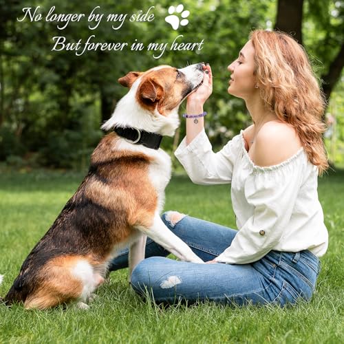 Clearain Pet Memorial Gifts for Dogs, Rainbow Bridge Bracelets for Women Men, Cat Memorial Gifts for Loss of Cat, Dog Passing Away Remembrance Sympathy Gift