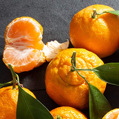 A Gift Inside Sympathy Fruit Basket – Fresh Fruit Gift Basket with Pears, Apples, Oranges & Mandarins, Thoughtful Gift of Comfort