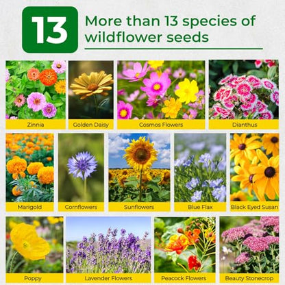 160000+ Wildflower Seeds Bulk, 13 Varieties Perennial & Annual Mix, 4oz - color: wildflower