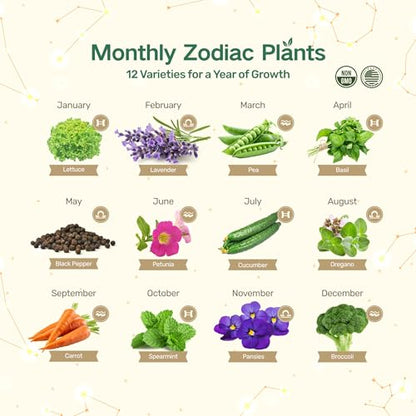 Lush&Dew Zodiac Garden Seed Bank Air Signs, Gardening Gifts for Women Men | 12 Varieties Non-GMO Herb Flower Seeds in Seed Organizers, Heirloom Seed Gift Set, Witchcraft Supplies, Gemini Libra Aquarius - style: Air Signs