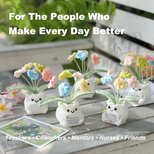 Forget-Me-Not Crochet Flower Potted Plant Gift - color: E-never Forget the Difference You Make
