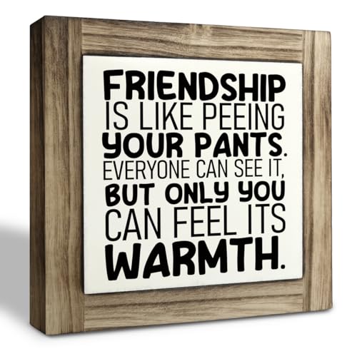 Friend Decor Sign, Friendship Gift, Box Wood Plaques Desk Décor, Funny Friend Gift for Men, Friend Signs for Home Decor, Best Friend Room Tabletop Decor, Friendship is Like Peeing Your Pants - color: Style 18