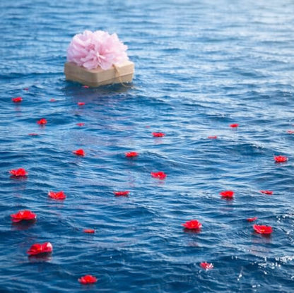 Biodegradable Water Burial Urn Kit with Pink Flower – Cruise Approved Ocean Ashes Scattering Ceremony with Certificate (3 Sizes) (Small) - size: Small