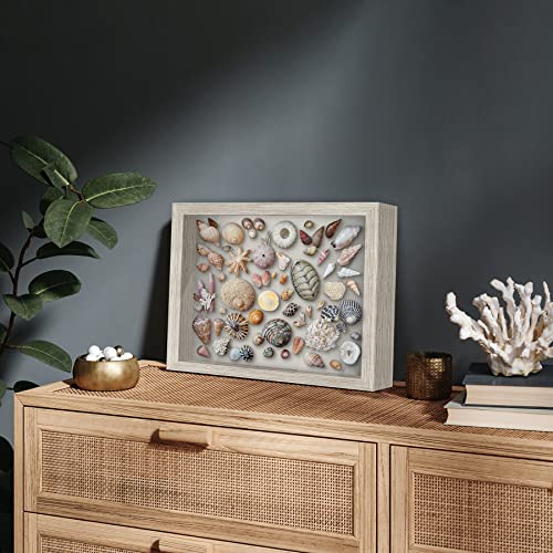 Americanflat 11x14 Shadow Box Frame with Shatter-Resistant Glass - Silhouette Collection - Large Shadow Box Display Case for Tabletop and Wall Display - Driftwood with Soft Felt Back - color: Driftwood, size: 11x14