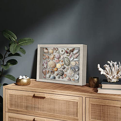 Americanflat 11x14 Shadow Box Frame with Shatter-Resistant Glass - Silhouette Collection - Large Shadow Box Display Case for Tabletop and Wall Display - Driftwood with Soft Felt Back - color: Driftwood, size: 11x14