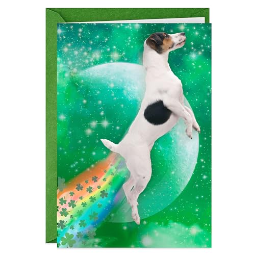 Hallmark Shoebox Funny St. Patrick's Day Card (Dog Tooting Rainbows) for Kids, Grandchildren, Friends - style: Dog Tooting Rainbows