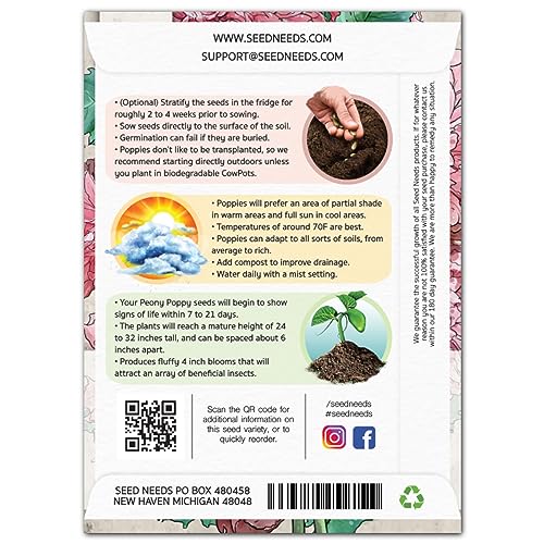Seed Needs Red Corn Poppy Seeds to Plant Annual Flowering Poppies 1 Pack