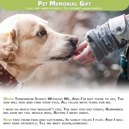 Dog Memorial Picture Frame 4x6, Dog Memorial Gift for loss of Dog (1S) | Angel Rainbow Bridge Prayer Card Included, Premium Aluminum Alloy Material, Packaged in an Elegant Plastic Gift Box - color: Silver - Kind Face