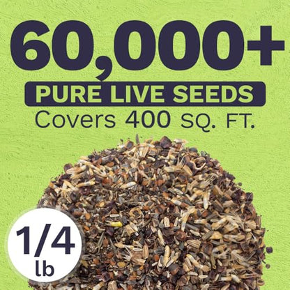 Deer Resistant Wildflower Seed Mixture - Bulk 1/4 Pound Bag - Over 60,000 Deer Tolerant Seeds - Open Pollinated and Non GMO - size: 1/4 Pound Bag