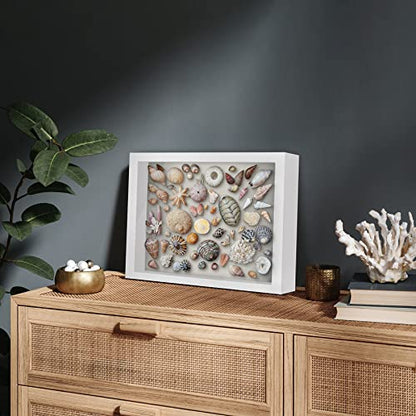 Americanflat 11x14 Shadow Box Frame with Shatter-Resistant Glass - Silhouette Collection - Large Shadow Box Display Case for Tabletop and Wall Display - White with Soft Felt Back | Shatter-resistant glass, 1.5 inch interior depth, hangs vertical or horizo