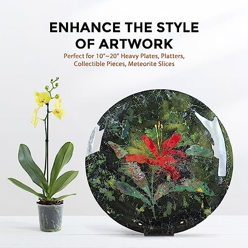 TR-LIFE 3 Pack 10 Inch Plate Stands for Display - Large Picture Stand