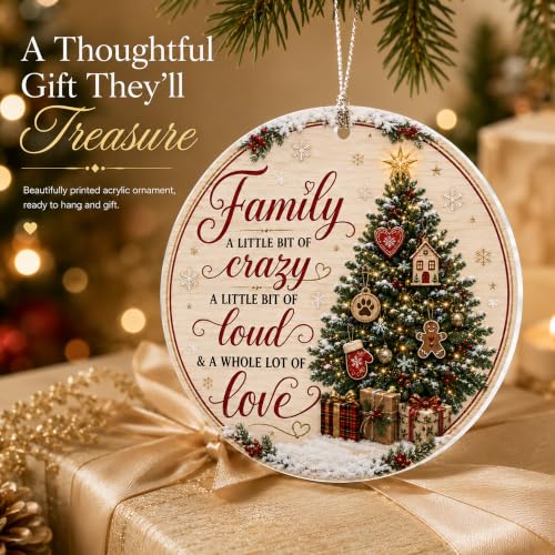 Family Christmas Ornament 2026, Funny Family Tree Ornament, A Little Bit of Crazy, A Little Bit of Loud, A Whole Lot of Love Holiday Keepsake - color: Family1