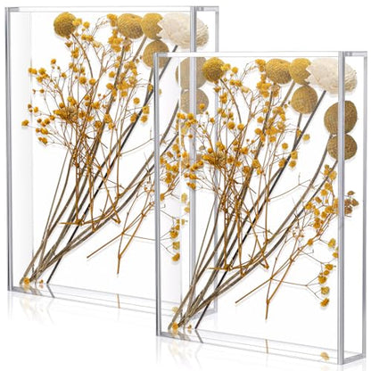 Barydat 2 Pcs 8'' x 10'' Acrylic Shadow Boxes Display Cases, Shadow Box DIY Frame Clear Acrylic Display Cases Wedding Memory Dried Flower Container Picture Photo Frame for Valentine Day Wedding - size: 8 x 10''