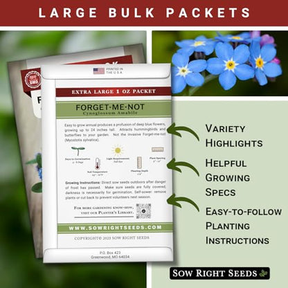 Sow Right Seeds - Bulk Chinese Forget-Me-Not Seed for Planting Jumbo Pack | Plant annual non-GMO heirloom for outdoor home garden. Blue celebration of life memorial flowers for pollinator gardening.