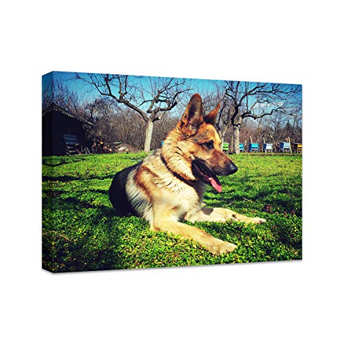 Personalized Photo to Canvas Print - Canvas Prints With Your Photos on Custom Wall Art for Bedroom, Living Room, Wedding Baby Pet Family Picture Framed Wall Art (14" W x 11" H) - size: 11"L x 14"W