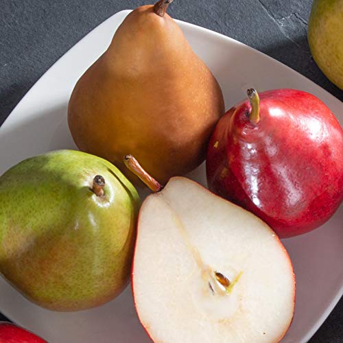 A Gift Inside Sympathy Fruit Basket – Fresh Fruit Gift Basket with Pears, Apples, Oranges & Mandarins, Thoughtful Gift of Comfort