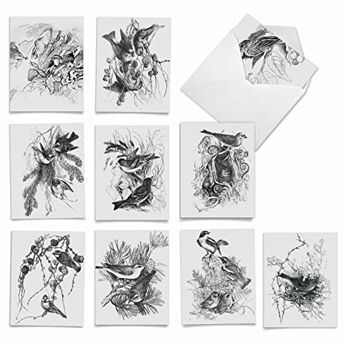 The Best Card Company - 10 Bird Note Cards Blank (4 x 5.12 Inch) - All Occasion Cards with Envelopes, Boxed Set - Wing Notes M6475OCB - style: Wing Notes