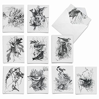 The Best Card Company - 10 Bird Note Cards Blank (4 x 5.12 Inch) - All Occasion Cards with Envelopes, Boxed Set - Wing Notes M6475OCB - style: Wing Notes