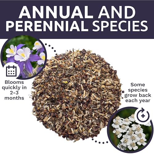 Deer Resistant Wildflower Seed Mixture - Bulk 1 Ounce Packet - Over 15,000 Deer Tolerant Seeds - Open Pollinated and Non GMO - size: 1 Ounce Pouch