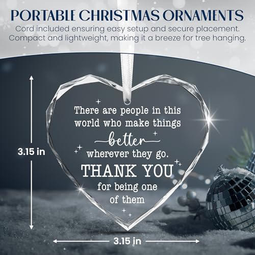 TEEZWONDER Thank You Gifts for Women Men - Glass Christmas Ornaments 2026 - color: There Are People
