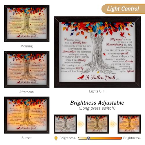 Sympathy Shadow Box - LED Memorial Box for Loss of Loved One - Mom, Dad, Father - Bereavement Gift - size: A Fallen Limb Black