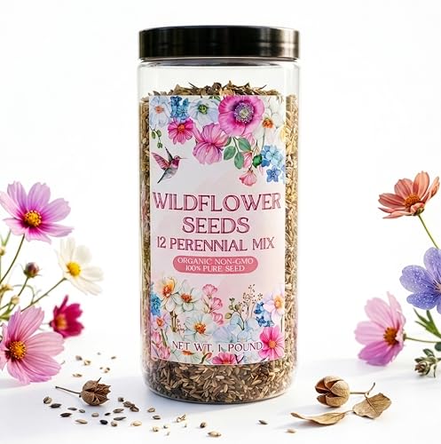 Wildflower Seeds 1lb Perennial - 100% Pure Organic Non-GMO Seed Mix - 12 Hardy Varieties for Pollinators, Bees & Butterflies - Bulk 1 Pound Jar for 2,000 Sq Ft Garden & Meadow Coverage (1 Pound) - size: 1 Pound