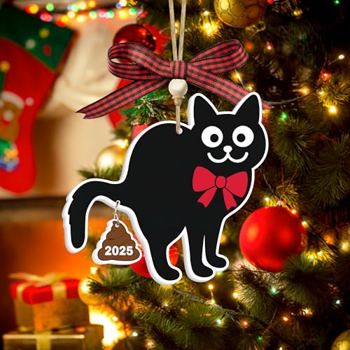 God Say You are Christian Christmas Ornament 2025, God Says I am 2D Flat Acrylic Christmas Ornament Reading Girl Xmas Decor with Book Lover Bookworms (Katinat- KL Cat Shit Ornament) - color: Katinat- Kl Cat Shit Ornament