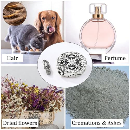 Aniu S925 Sterling Silver Urn Necklace Cremation Jewelry for Ashes - color: Compass - C