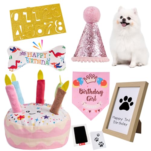 Dog Birthday Toy Set, Dog Squeaky Toys, Includes Squeaky Cake Toy, Plush Bones, Birthday Hats, Bandana, Paw Print Kit & Photo Frame. Pet Gift Supplies, Pink - color: Pink