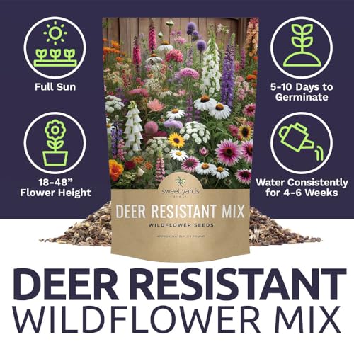 Deer Resistant Wildflower Seed Mixture - Bulk 1/4 Pound Bag - Over 60,000 Deer Tolerant Seeds - Open Pollinated and Non GMO - size: 1/4 Pound Bag