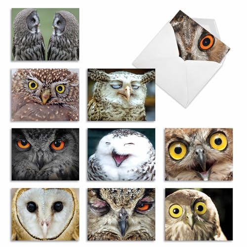 The Best Card Company - 10 Bird Note Cards Blank (4 x 5.12 Inch) - All Occasion Cards with Envelopes, Boxed Set - What a Hoot M1769BN - style: What A Hoot