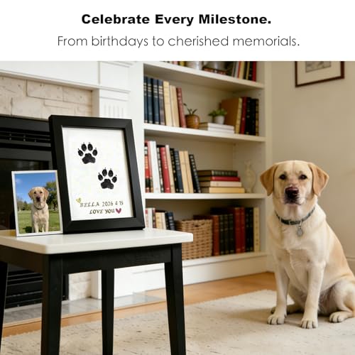 Dog Paw Print Kit & Cat Memorial Frame - Inkless Nose Print Stamp Pad for Dogs, Cats & Babies, Mess-Free Handprint Keepsake, Ink Pads & Wooden Photo Frames, Pet Memorial Gifts (Large 2 Packs) - size: large 2 packs