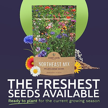 Sweet Yards - Northeast Wildflower Seed Regional Mixes - Bulk 1/4 Pound Bag - Over 30,000 Native Seeds - Open Pollinated and Non GMO Varieties for New York, Virginia, Pennsylvania, Maine and More! - size: 4 Ounce (Pack of 1), style: Northeast Regional Mix
