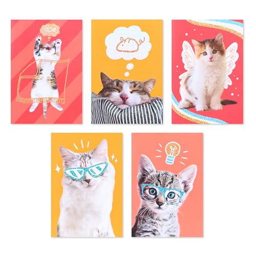 American Greetings Blank Cards and Envelopes Assortment Box, Funny Cats, 15 count