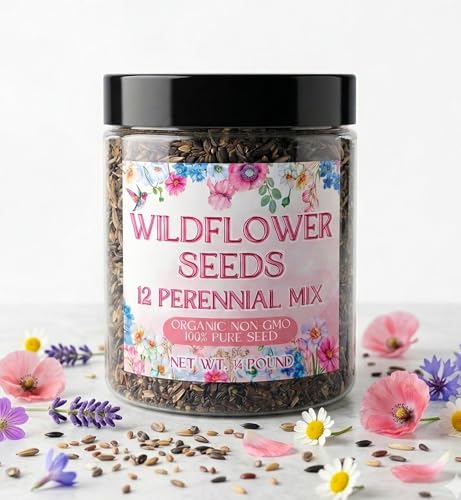 Wildflower Seeds 1/4lb Perennial - 100% Pure Organic Non-GMO Seed Mix - 12 Hardy Varieties for Pollinators, Bees & Butterflies - Bulk 1/4 Pound Jar for 500 Sq Ft Garden & Meadow Coverage (1/4 Pound) - size: 1/4 Pound