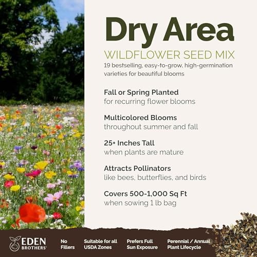 Eden Brothers Dry Area Wildflower Mixed Seeds for Planting, 1 lb - size: 1 Pound, style: Dry Area