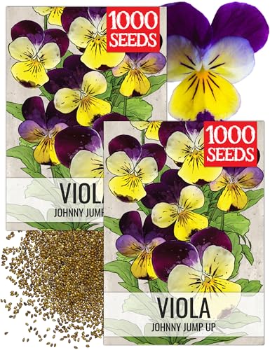 Seed Needs Johnny Jump Up Seeds for Planting Helen Mount Violas - Heirloom & Open Pollinated Flower Seed to Plant an Outdoor Flower Garden - Perfect for Borders, Pots & Containers - size: 2 Packs, style: Johnny Jump Up