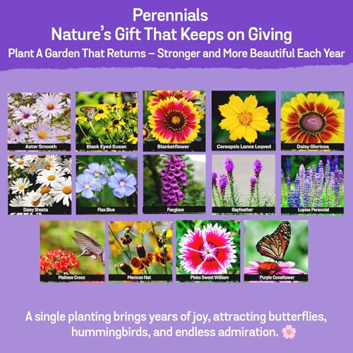 NatureZ Edge Wildflower Seeds Mix – 2 Oz, 85,000 Seeds, 35 Variety Perennial & Annual Flower Seeds to Plant Outside, Bulk Wildflower Seeds, Wild Flower, Semillas de Flores - size: 2 oz