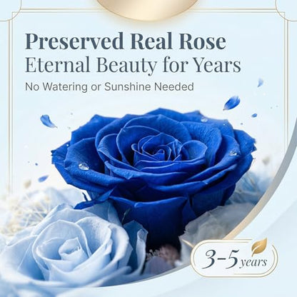 Angel Rose Figurine with LED Lights - Real Preserved Eternal Rose in Glass Dome, Forever Flowers Gift for Women, Birthday Valentine's Wedding - color: Cobalt Velvet Rose