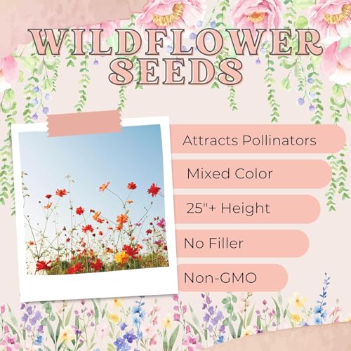 Wildflower Seed Packets Baby in Bloom Baby Shower Party Favors (Pack of 30) - Wildflower Seed Packet Favors Gift Pink Girl - color: Pink Standard