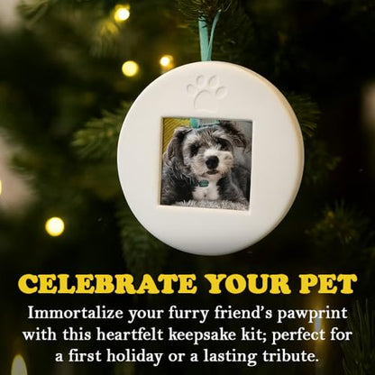 SD Toyz Pet Paw Print Ornament Kit, Dog & Cat Keepsake Picture Frame, Clay Mold Pawprint, Pet Lover Gift