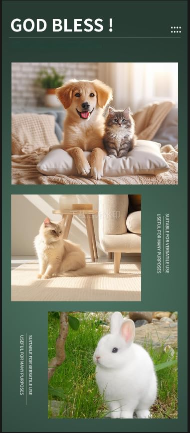Dog Remembrance Gift Memorial Gifts for Dogs or Cats,Picture Frame with Paw Print Design,Loss of Dog Sympathy ,Wood Photo Display with Quote and Hair Keepsake Vial,a Grieving Friend Pet Lost Gift and Dead box (wood,4*6)