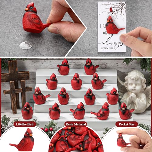 VioraWhite Cardinal Memorial Gift Resin Red Bird Cardinal Figurines Funeral Favor Memorial Gift Remembrance Poem Card for Family Friend Guest Garden Craft Cake Topper Decor(Fashion) - style: Fashion