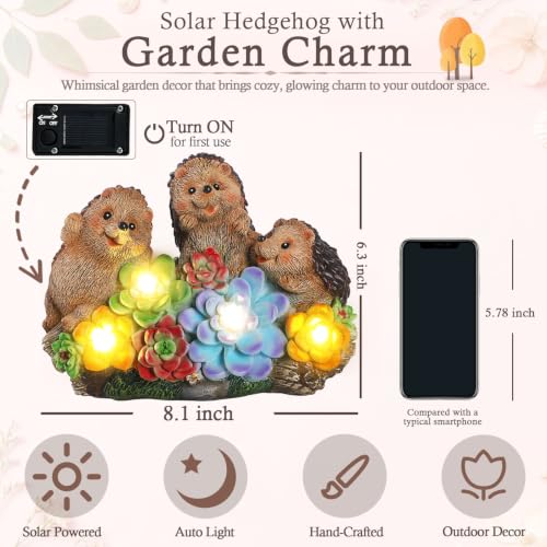 Hedgehog Solar Garden Statues with Succulent Animal Figurines - color: Brown-hedgehog03
