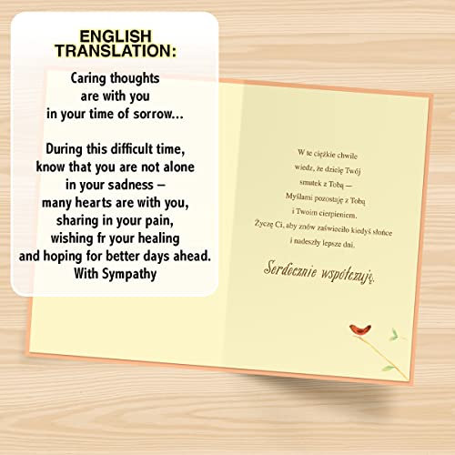 Designer Greetings Polish Language Sympathy Card 6 Pack | Polish Language Sentiment, Boxed Card Set, Matching Envelopes - style: 6 PK Polish Sympathy - Red Jay